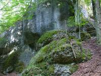 Bemooste Felsblöcke im Püttlachtal